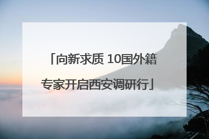 向新求质 10国外籍专家开启西安调研行