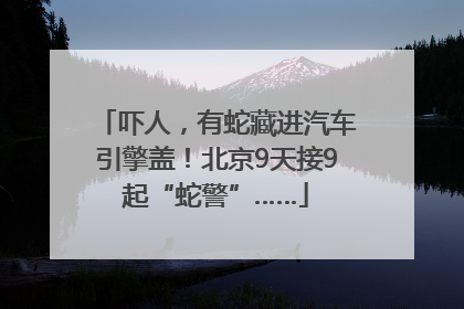 吓人，有蛇藏进汽车引擎盖！北京9天接9起“蛇警”……
