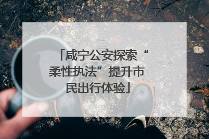 咸宁公安探索“柔性执法”提升市民出行体验