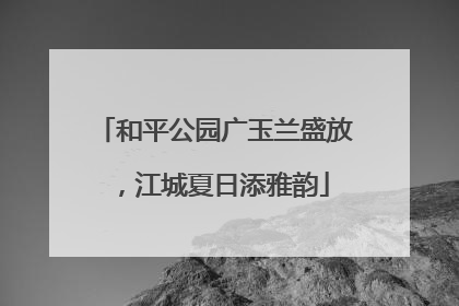和平公园广玉兰盛放，江城夏日添雅韵