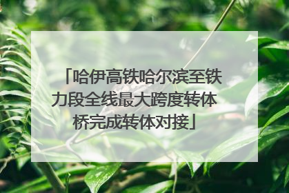 哈伊高铁哈尔滨至铁力段全线最大跨度转体桥完成转体对接