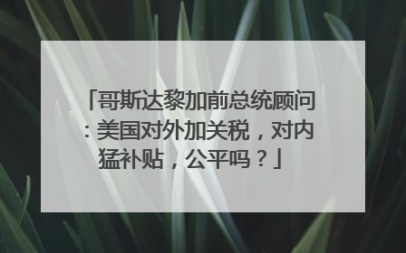哥斯达黎加前总统顾问：美国对外加关税，对内猛补贴，公平吗？