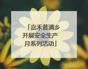嘉禾普满乡开展安全生产月系列活动