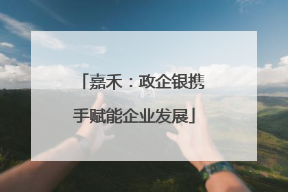 嘉禾：政企银携手赋能企业发展