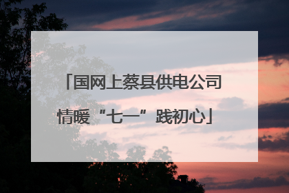 国网上蔡县供电公司情暖“七一”践初心