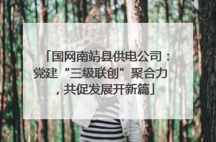 国网南靖县供电公司：党建“三级联创”聚合力，共促发展开新篇