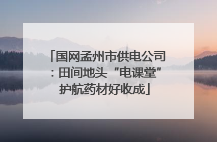 国网孟州市供电公司：田间地头“电课堂”  护航药材好收成