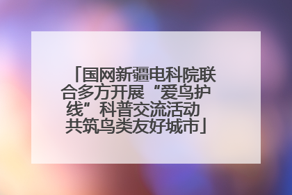 国网新疆电科院联合多方开展“爱鸟护线”科普交流活动 共筑鸟类友好城市