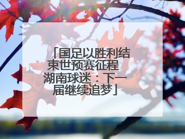 国足以胜利结束世预赛征程 湖南球迷：下一届继续追梦