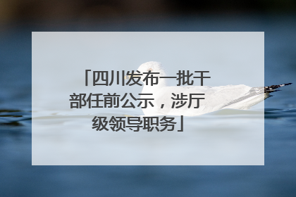 四川发布一批干部任前公示，涉厅级领导职务