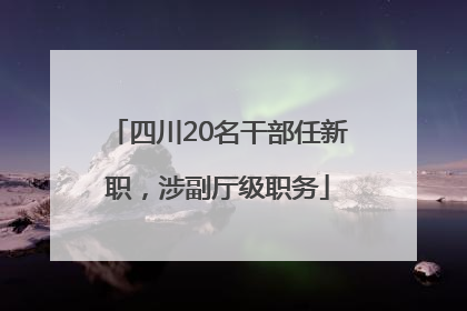 四川20名干部任新职，涉副厅级职务