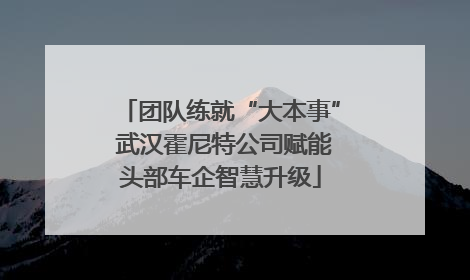 团队练就“大本事” 武汉霍尼特公司赋能头部车企智慧升级