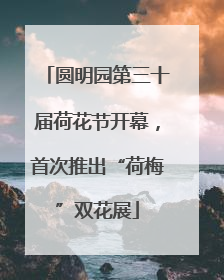 圆明园第三十届荷花节开幕，首次推出“荷梅”双花展