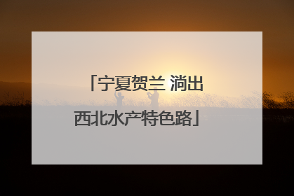 宁夏贺兰 淌出西北水产特色路