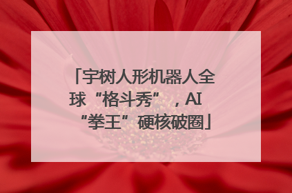 宇树人形机器人全球“格斗秀”，AI“拳王”硬核破圈