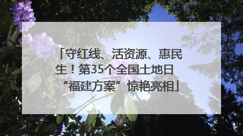 守红线、活资源、惠民生！第35个全国土地日“福建方案”惊艳亮相