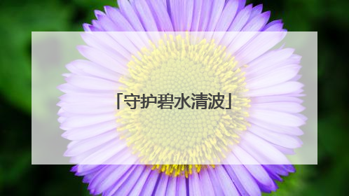 守护碧水清波