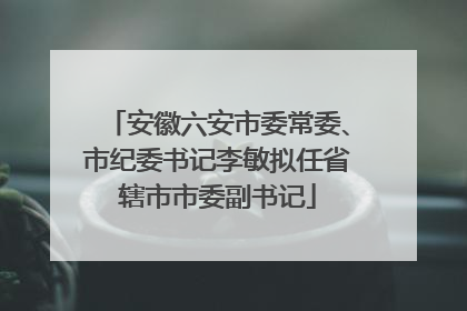 安徽六安市委常委、市纪委书记李敏拟任省辖市市委副书记