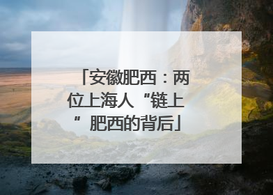安徽肥西：两位上海人“链上”肥西的背后