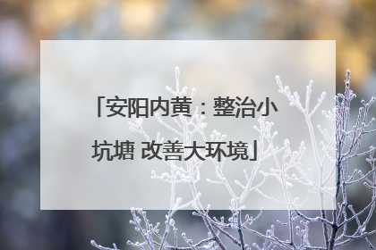 安阳内黄：整治小坑塘 改善大环境