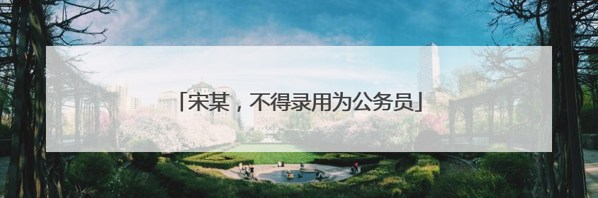 宋某，不得录用为公务员