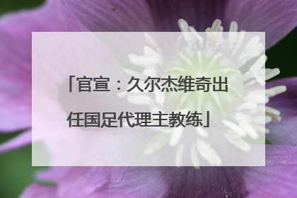 官宣：久尔杰维奇出任国足代理主教练