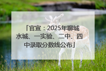 官宣：2025年聊城水城、一实验、二中、四中录取分数线公布