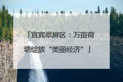 宜宾翠屏区：万亩荷塘绽放“美丽经济”