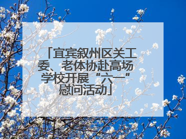 宜宾叙州区关工委、老体协赴高场学校开展“六一”慰问活动