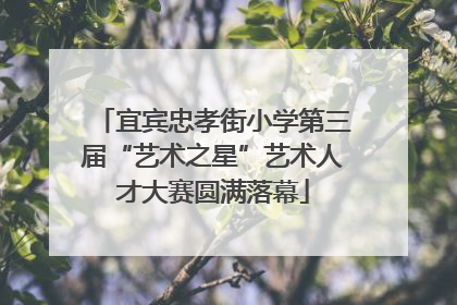 宜宾忠孝街小学第三届“艺术之星”艺术人才大赛圆满落幕
