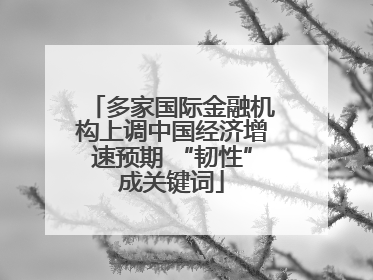 多家国际金融机构上调中国经济增速预期 “韧性”成关键词