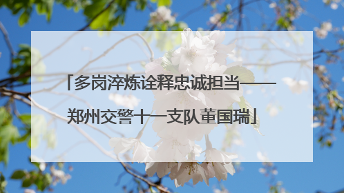 多岗淬炼诠释忠诚担当——郑州交警十一支队董国瑞