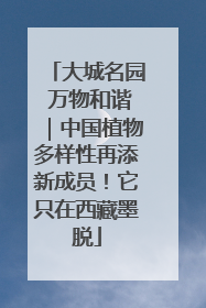 大城名园 万物和谐｜中国植物多样性再添新成员！它只在西藏墨脱