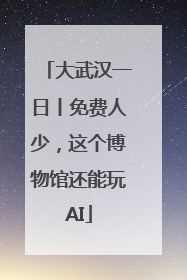 大武汉一日丨免费人少，这个博物馆还能玩AI