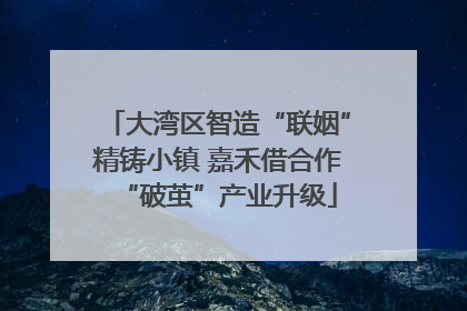 大湾区智造“联姻”精铸小镇 嘉禾借合作“破茧”产业升级