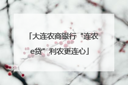 大连农商银行“连农e贷”利农更连心