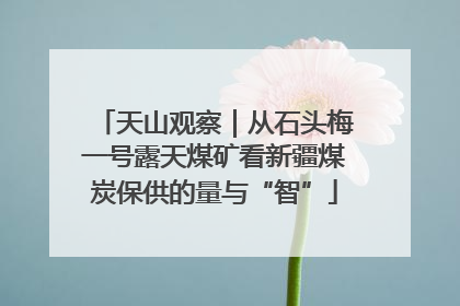 天山观察｜从石头梅一号露天煤矿看新疆煤炭保供的量与“智”