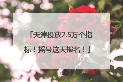 天津投放2.5万个指标！摇号这天报名！