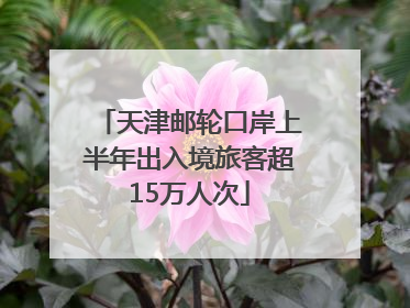 天津邮轮口岸上半年出入境旅客超15万人次