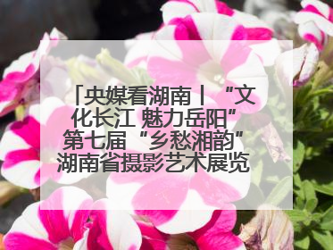 央媒看湖南丨“文化长江 魅力岳阳”第七届“乡愁湘韵”湖南省摄影艺术展览盛大启幕
