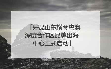 好品山东横琴粤澳深度合作区品牌出海中心正式启动
