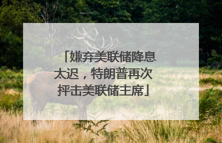 嫌弃美联储降息太迟，特朗普再次抨击美联储主席