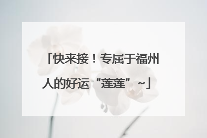 快来接！专属于福州人的好运“莲莲”~