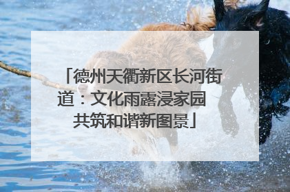 德州天衢新区长河街道：文化雨露浸家园 共筑和谐新图景