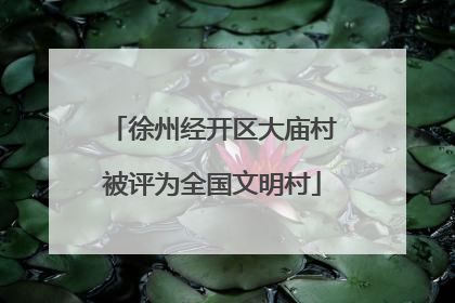 徐州经开区大庙村被评为全国文明村