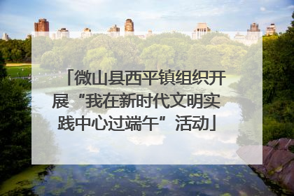 微山县西平镇组织开展“我在新时代文明实践中心过端午”活动