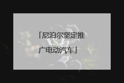 尼泊尔坚定推广电动汽车