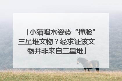 小猫喝水姿势“撞脸”三星堆文物？经求证该文物并非来自三星堆