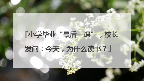 小学毕业“最后一课”,校长发问:今天,为什么读书?