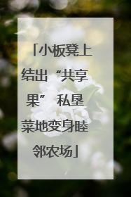 小板凳上结出“共享果” 私垦菜地变身睦邻农场